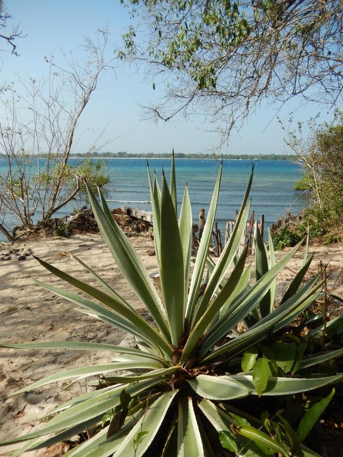 Blue Monkey Beach Cottages Shimoni Екстериор снимка