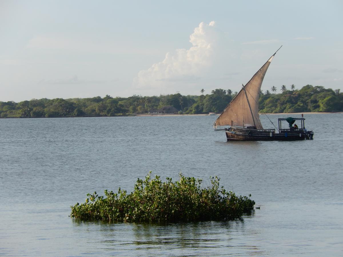 Blue Monkey Beach Cottages Shimoni Екстериор снимка