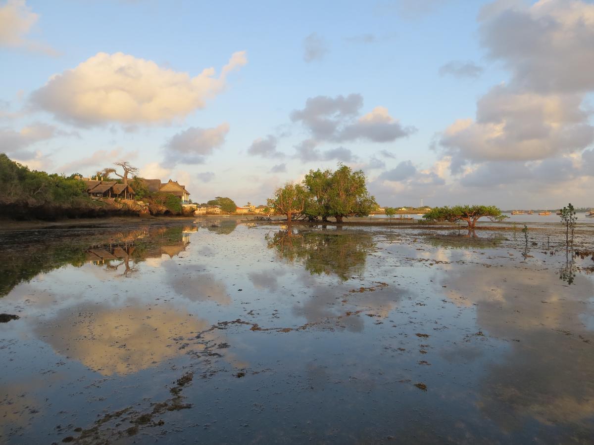 Blue Monkey Beach Cottages Shimoni Екстериор снимка