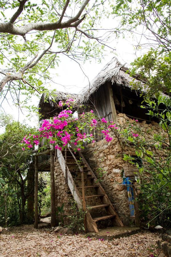 Blue Monkey Beach Cottages Shimoni Екстериор снимка